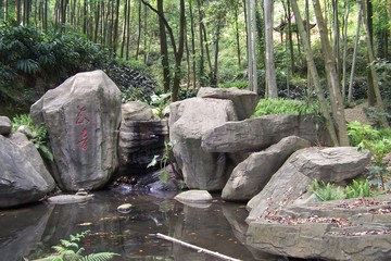chinese rock garden