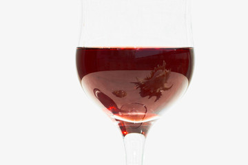 shells in wine