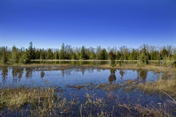 Fototapeta na wymiar beautiful lanscape