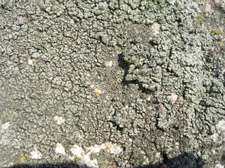 stone4