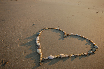 coeur coquillages plage