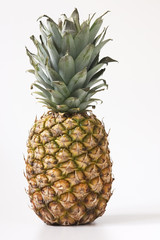 Fototapeta premium pineapple on white