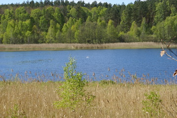 lake