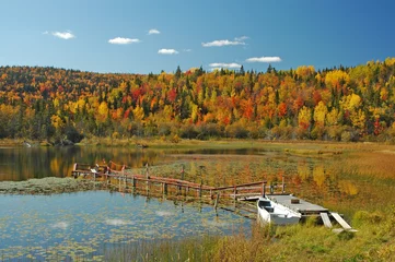 Fotobehang herfst landschap © hattiney