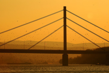 Obraz premium bridge of fridom