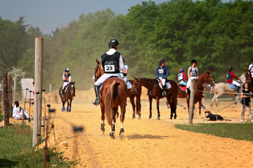 compétiton equestre