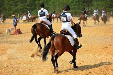 entrainement equitation