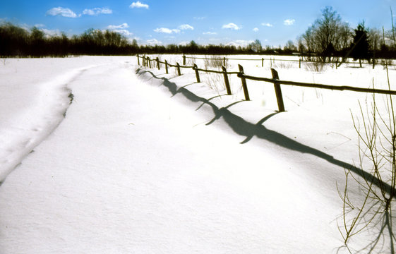 fence
