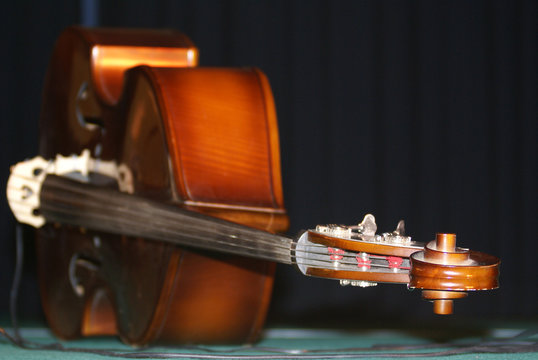 la contrebasse sur sc&egrave;ne