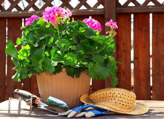 gardening tools
