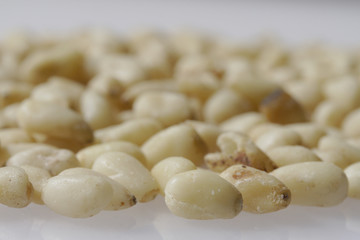 cedar nuts