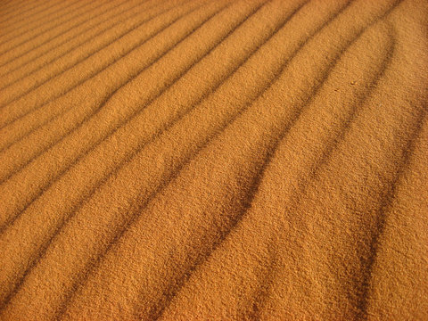 sillage désertique