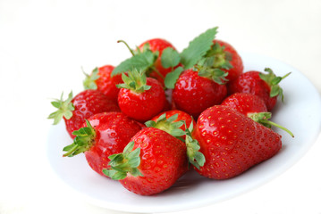 frische erdbeeren