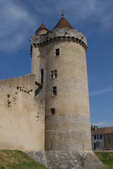Fototapeta na wymiar chateau de blandy