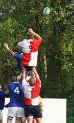 rugby