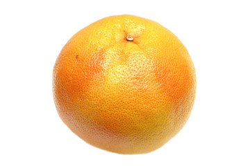 grapefruit