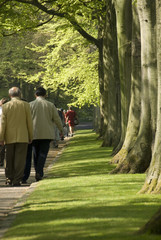 people at the park