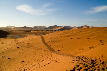 Fototapeta na wymiar track in the desert