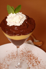 chocolate and vanilla pudding with whipped cream and mint