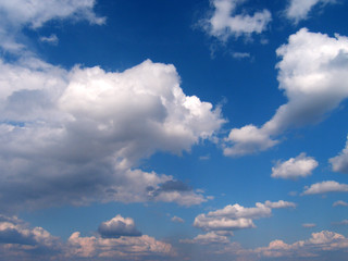 texture. background.