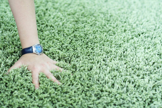 shaggy carpet and watch