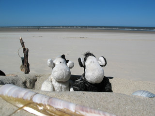 stuffed sheep on beach holidays