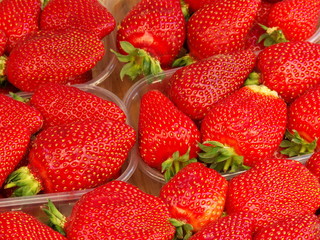 strawberries