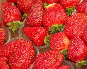 strawberries