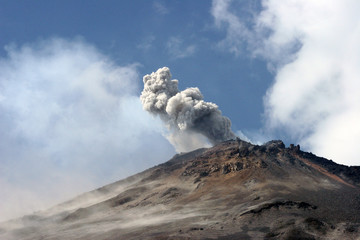 arenal 606