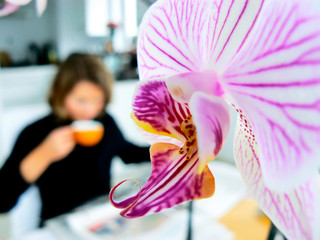 kaffe-orchidee