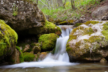 forest waterfall