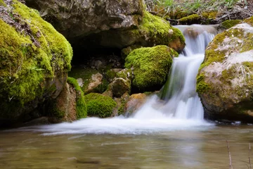 Foto op Plexiglas forest waterfall © Sergii Mostovyi
