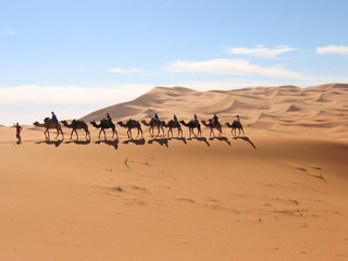 mehare with camel trekking in the sand desert with some shadows