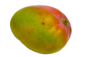 solo mango