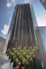 tall skyscraper with blue sky and trees