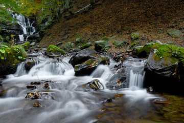 milky fall