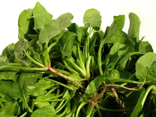 green leaves of spinach