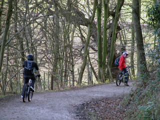 Fototapeta premium mountain bikers