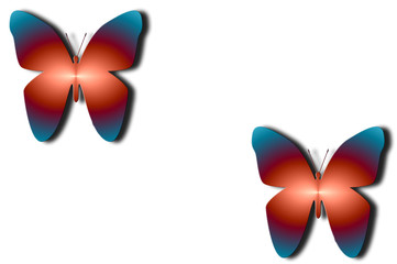 fond carte papillons