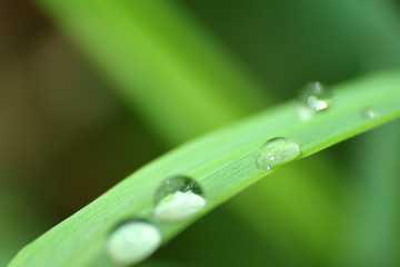 water droplets