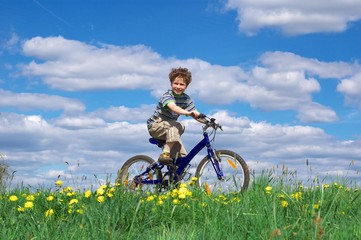 Naklejka premium cycling