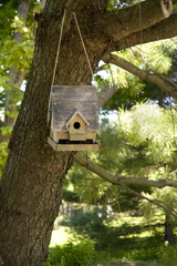 bird house