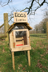 honesty egg box