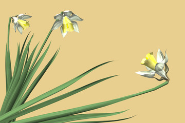 spring flowers 3d