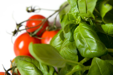basil likes tomatos