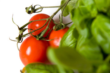 tomatos like basil