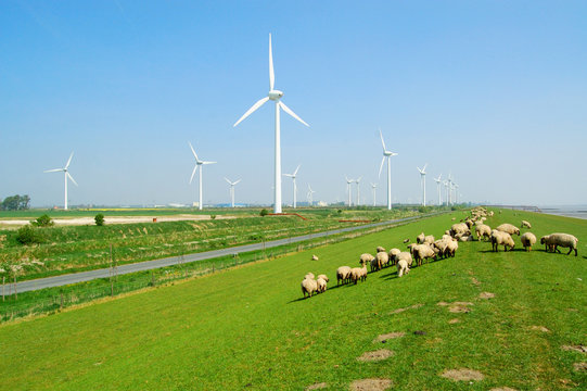 windkraftanlagen an der k&uuml;ste