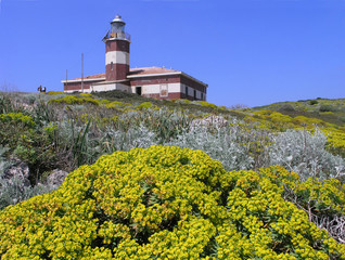 faro