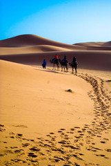 camel trekking morocco