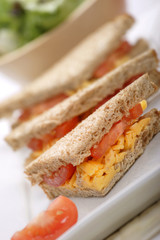 cheese and tomato sandwich